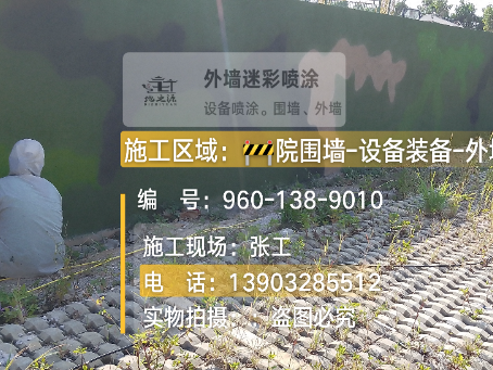 定西外墙迷彩漆材料价约 45-60 元 /k