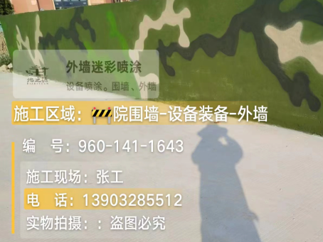 定西 迷彩漆喷涂价格（按平方米计费）