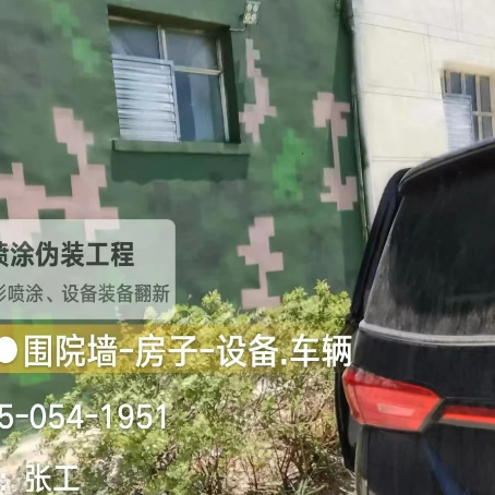 定西数码迷彩漆施工
